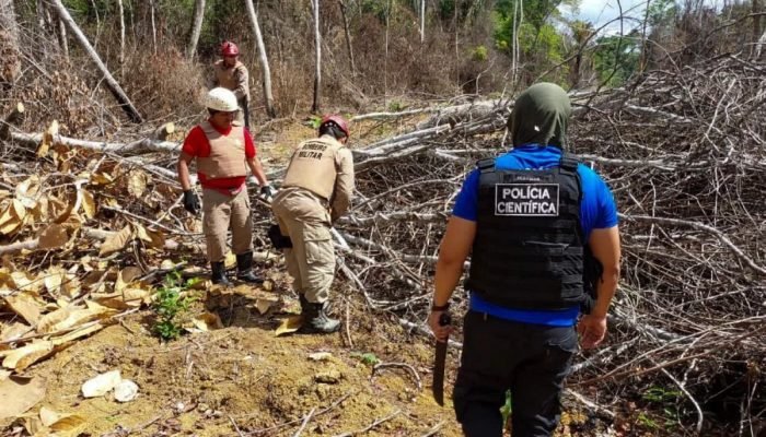 1 de 1 3 COP30 com redução de 55% no desmatamento, Pará leva resultado inédito - Foto: Divulg...