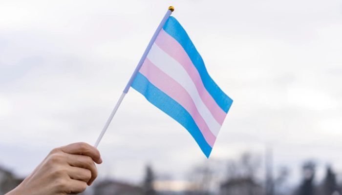 1 de 1 Pessoa branca segurando bandeira rosa, azul e branca, cores que representam a transexualid...