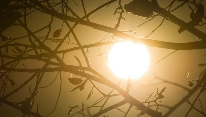 1 de 1 Foto colorida mostra vegetação seca com sol ao fundo - Metrópoles - Foto: Vinícius Sch...