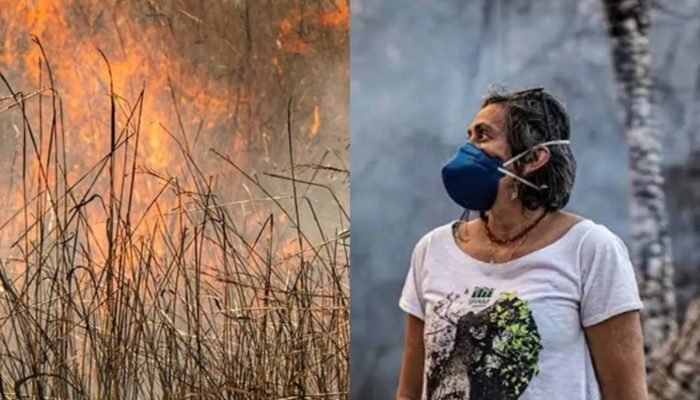 Pesquisadora premiada explica por que Cerrado lidera queimadas