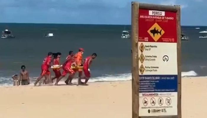 1 de 1 imagem colorida criança atacada tubarão recife - Foto: Reprodução/Redes sociais