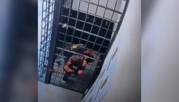 Reprodução/Redes Sociais