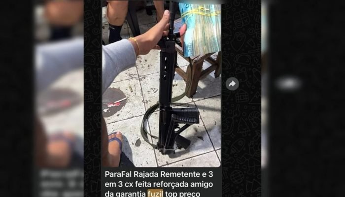 Reprodução