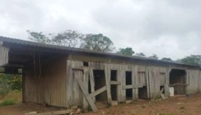 MPT/ reprodução