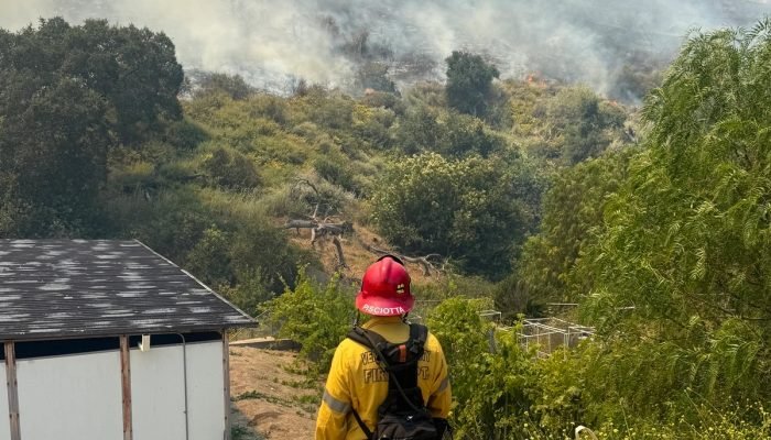 1 de 1 Bombeiro olha para foco de fogo em floresta - Foto: Cal Fire/ reprodução