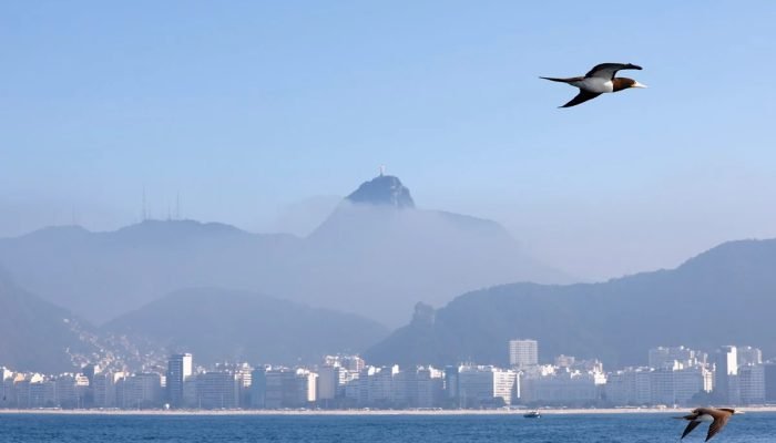 Tânia Rêgo/Agência Brasil